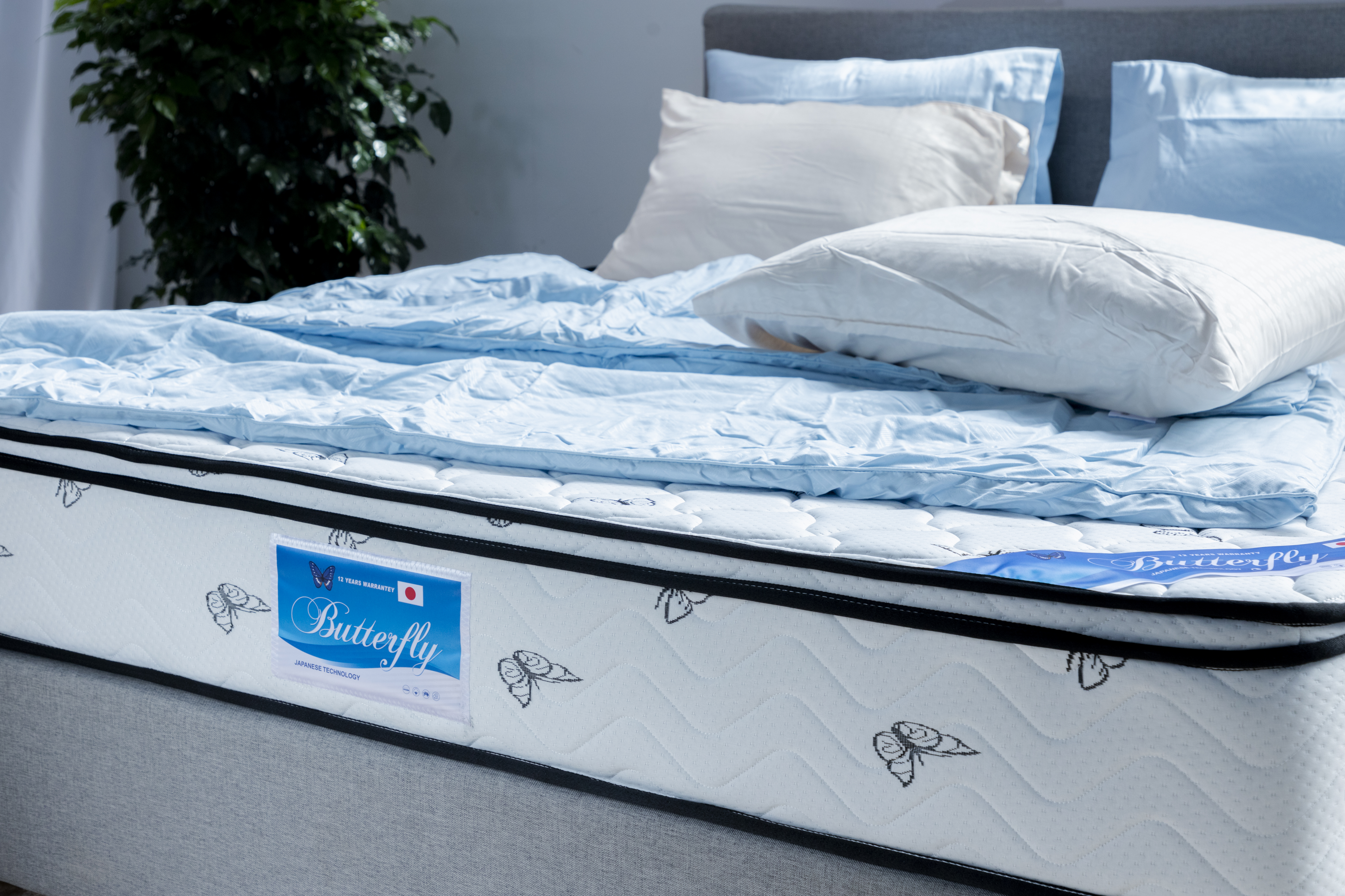 BUTTERFLY® Spring Mattress