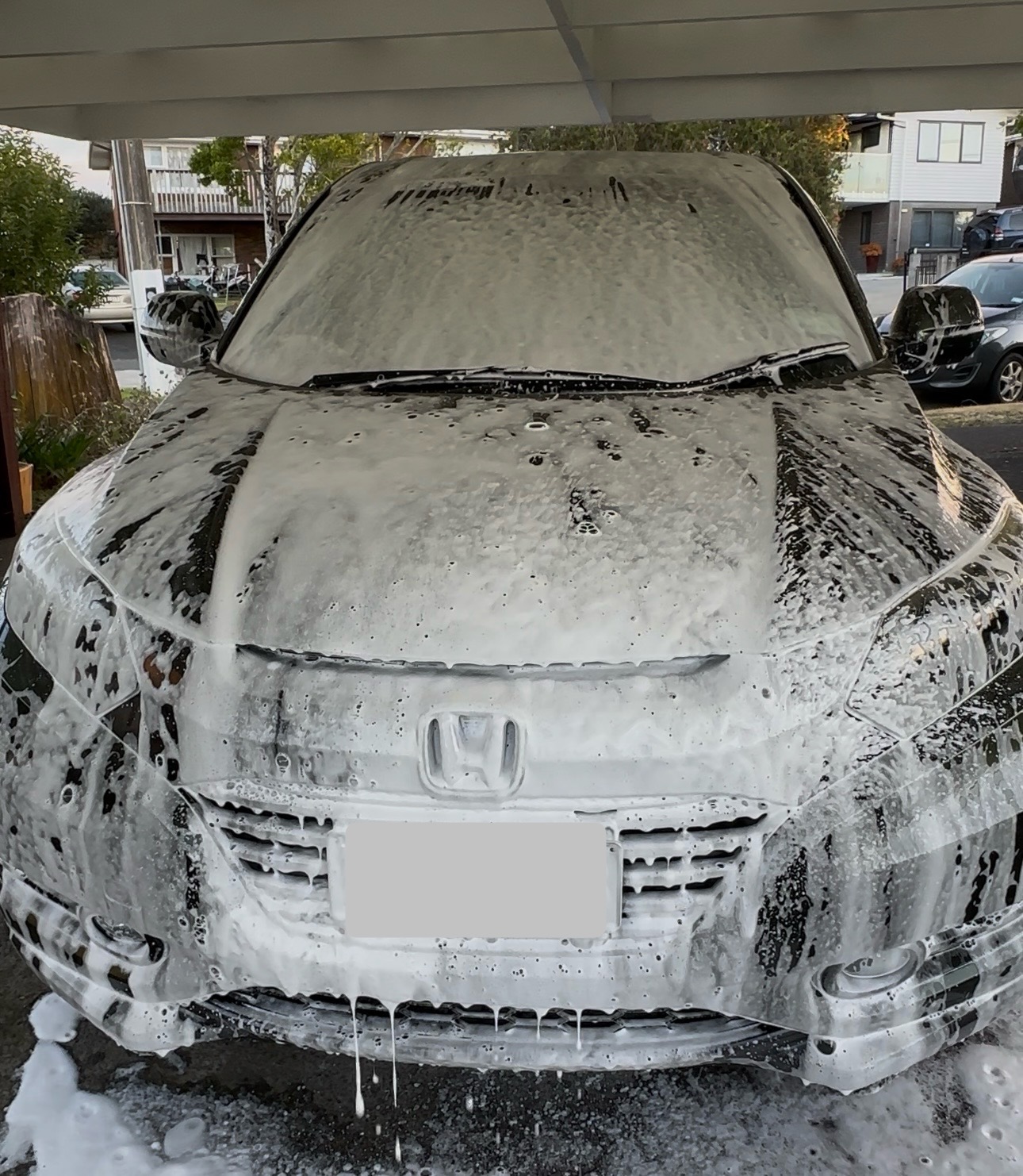 Neon Auto Detailing Services 