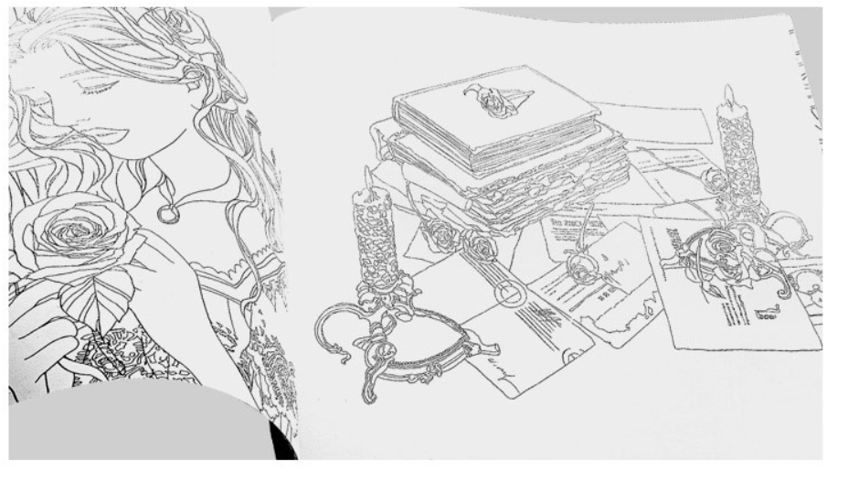 Beauty and the Beast - Adult Coloring Book