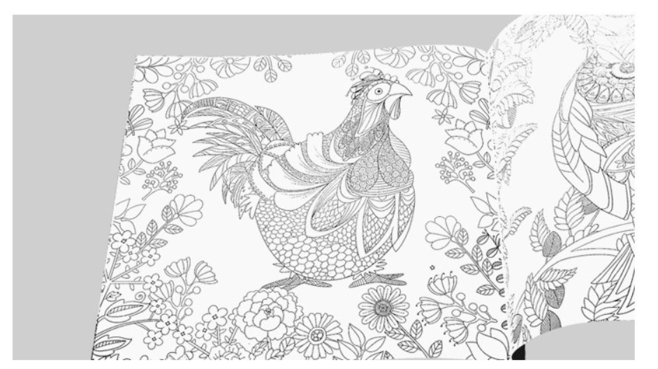 The Enchanted Forest - Adult Coloring Book