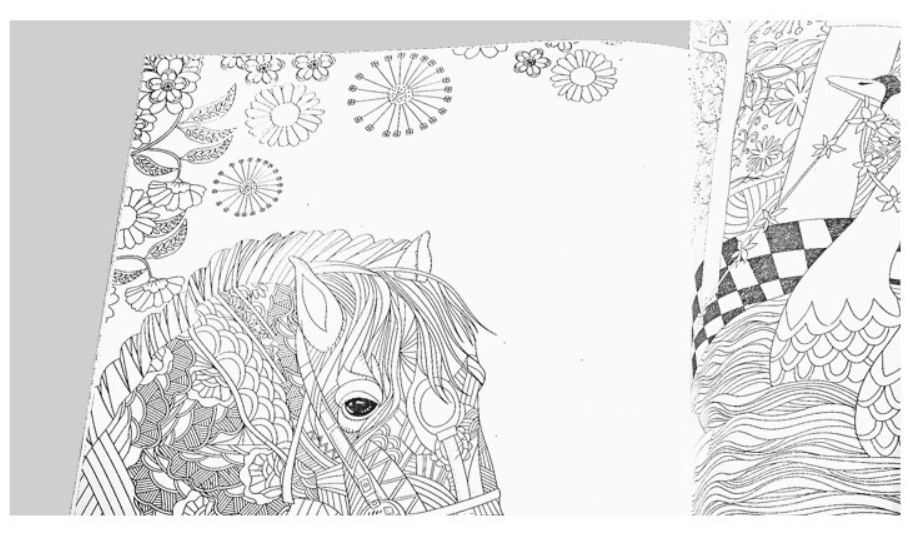 The Enchanted Forest - Adult Coloring Book