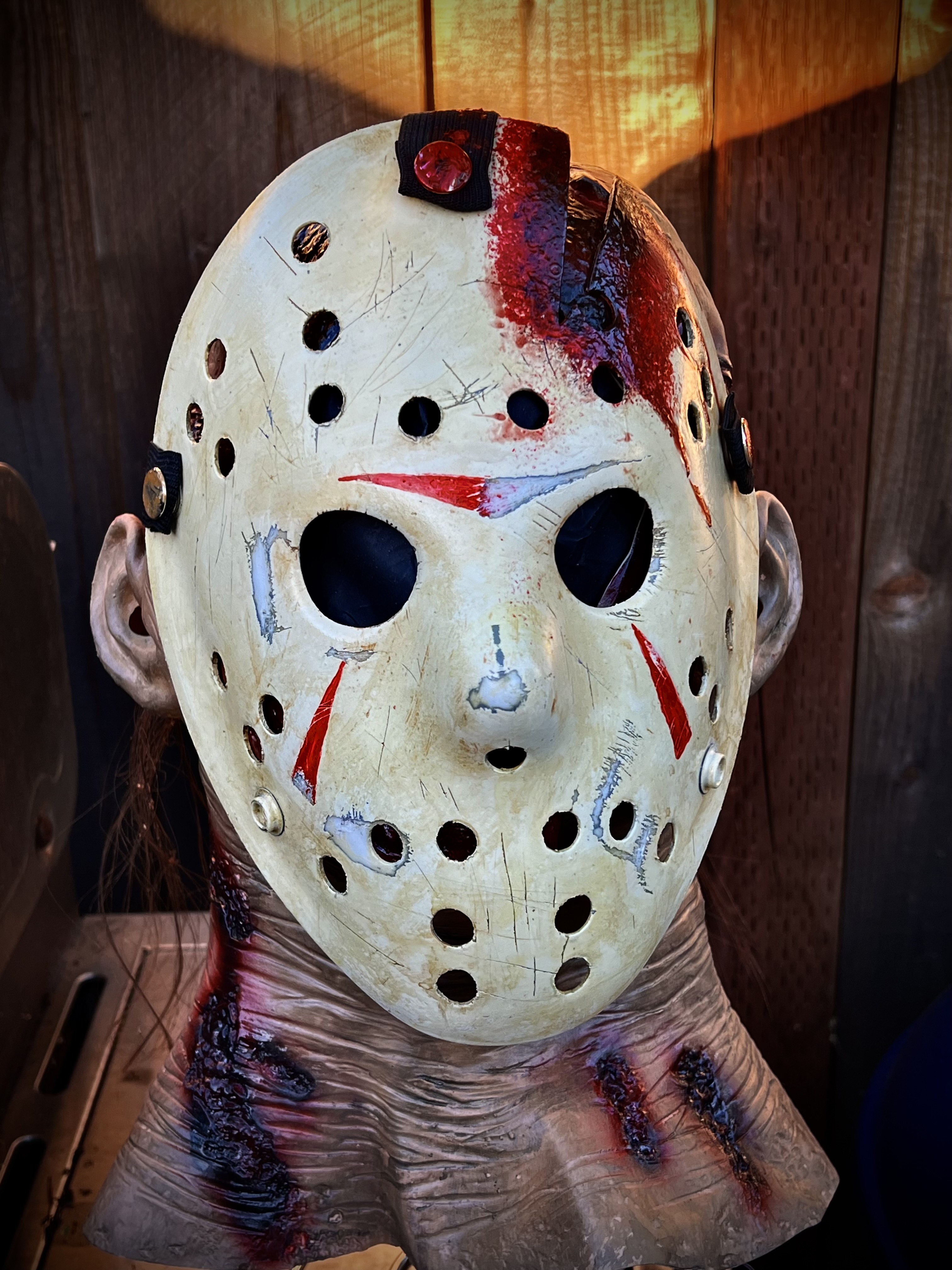 Jason 12