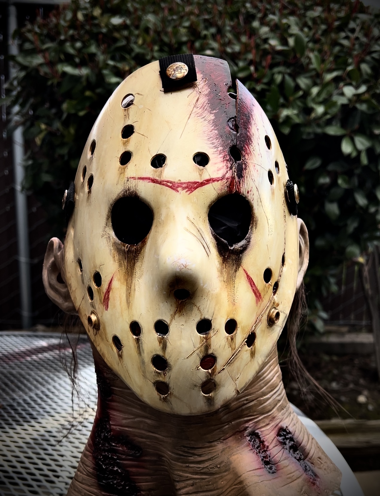 Jason 6