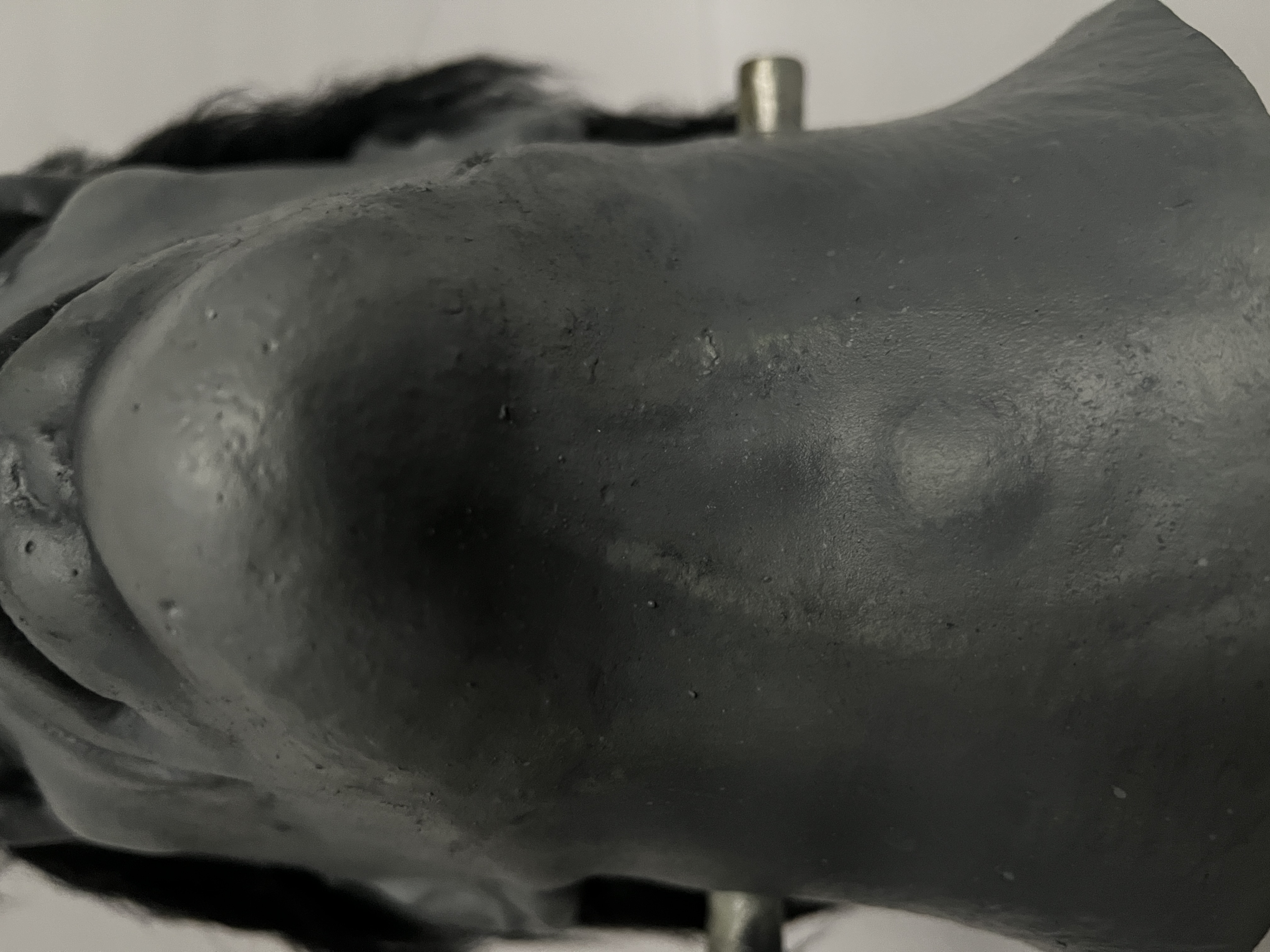 Black and white Frankenstein 