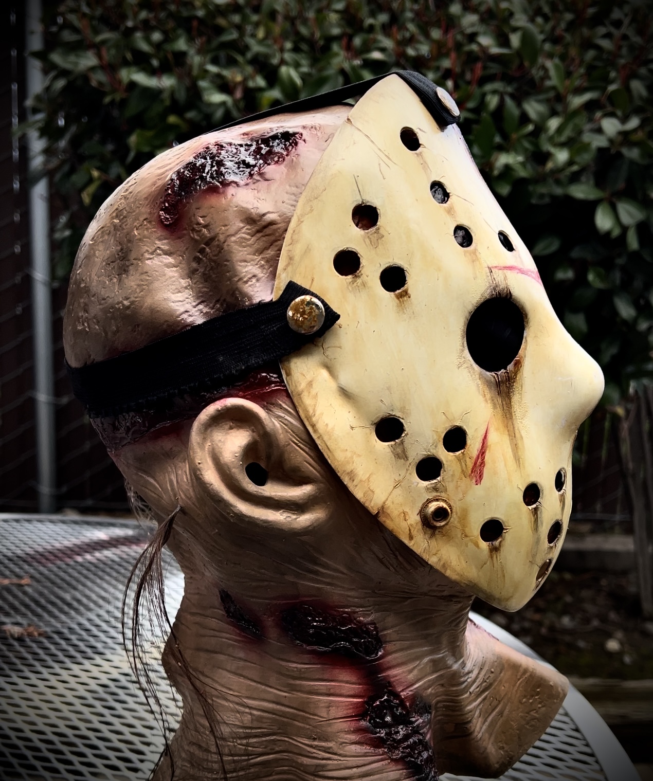Jason 6
