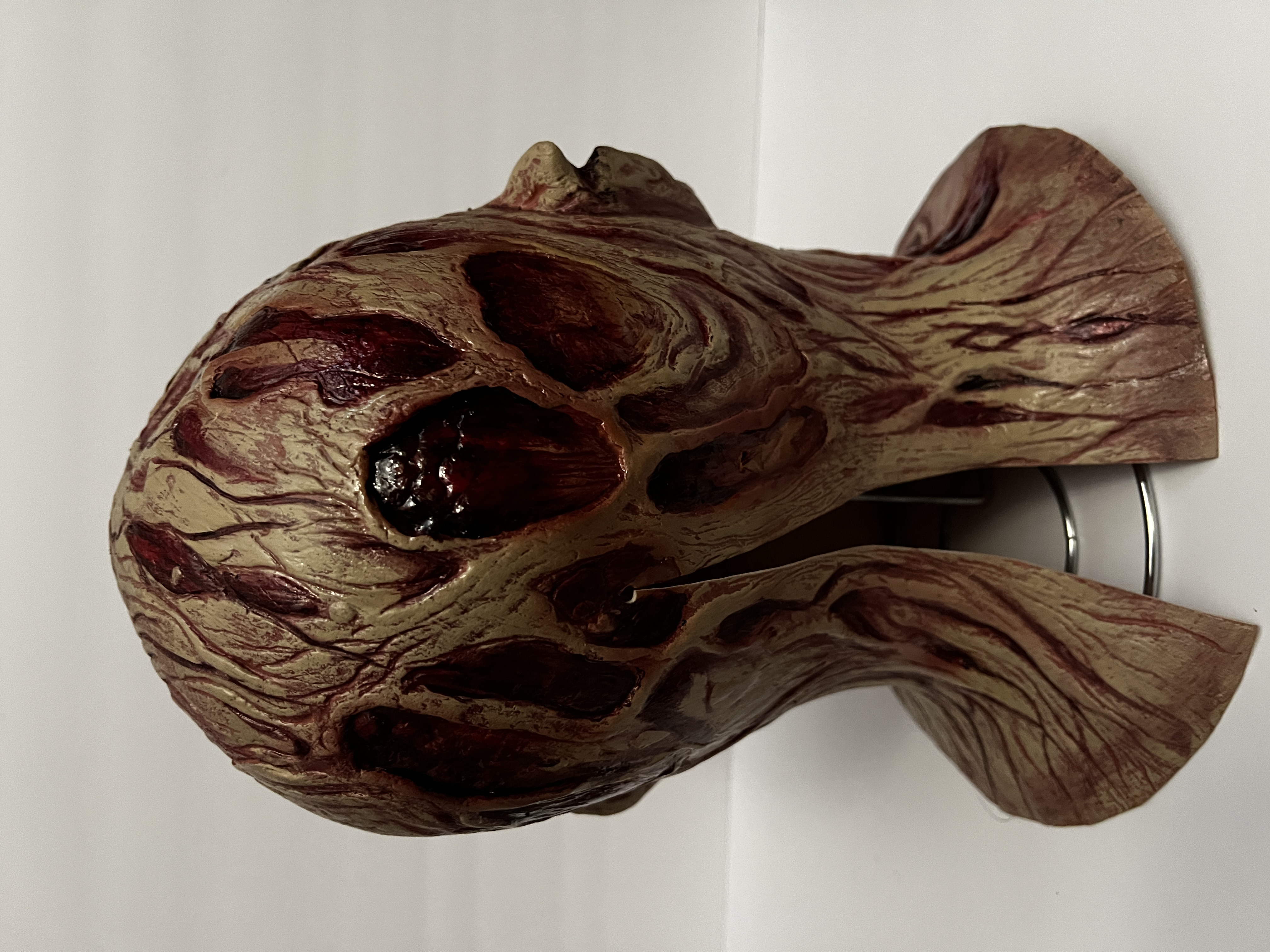 Freddy Krueger rehaul