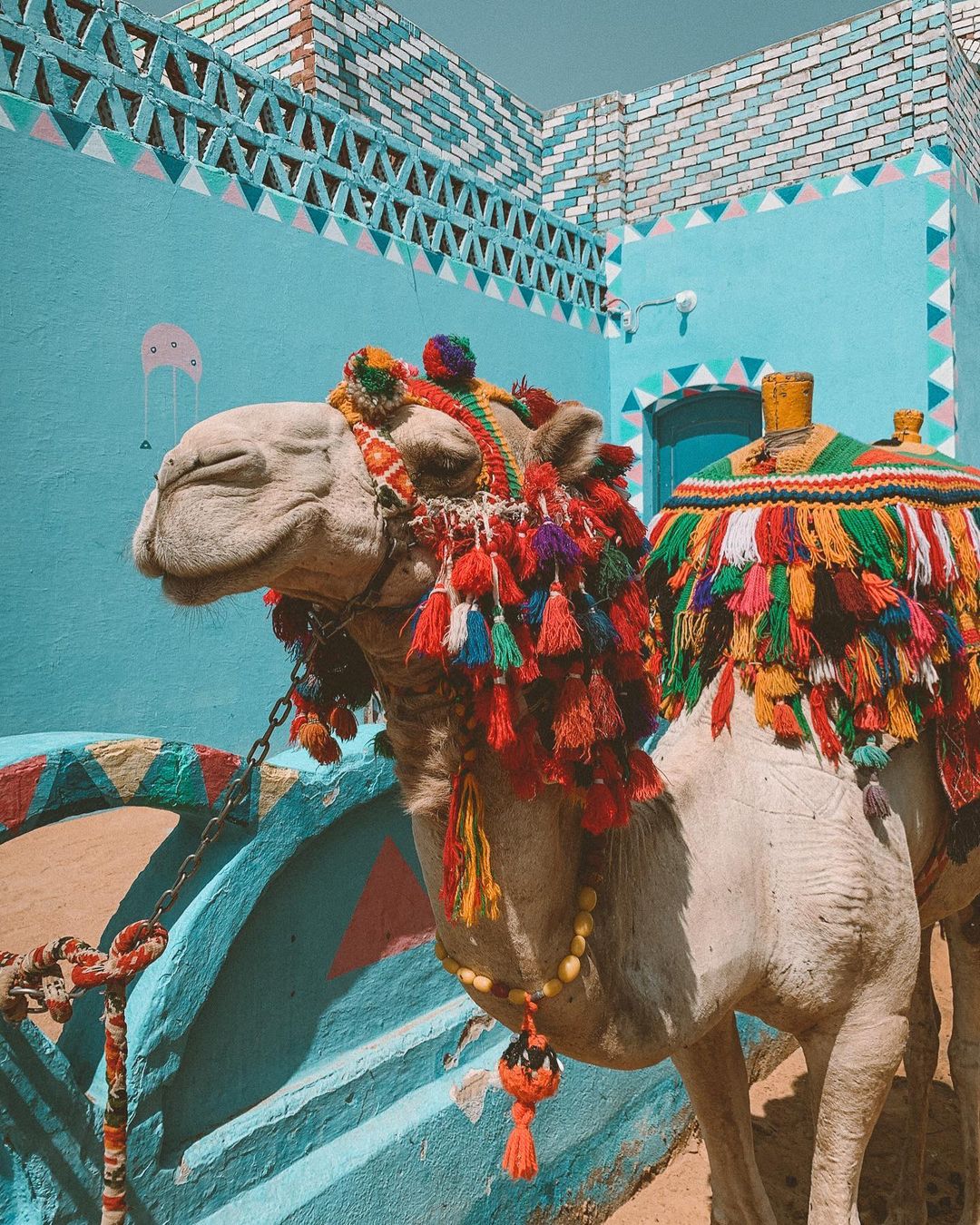 A Luxury Cultural & Coastal Experience: Cairo • Nile Cruise • Luxor • Aswan