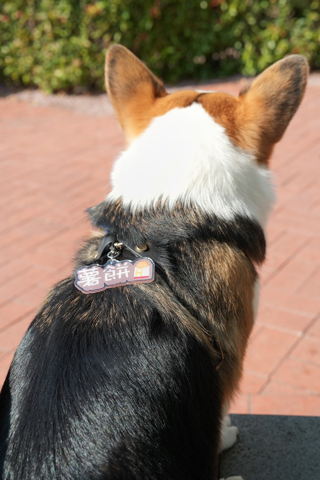 Custom-Made Name Tag 度身定制名牌