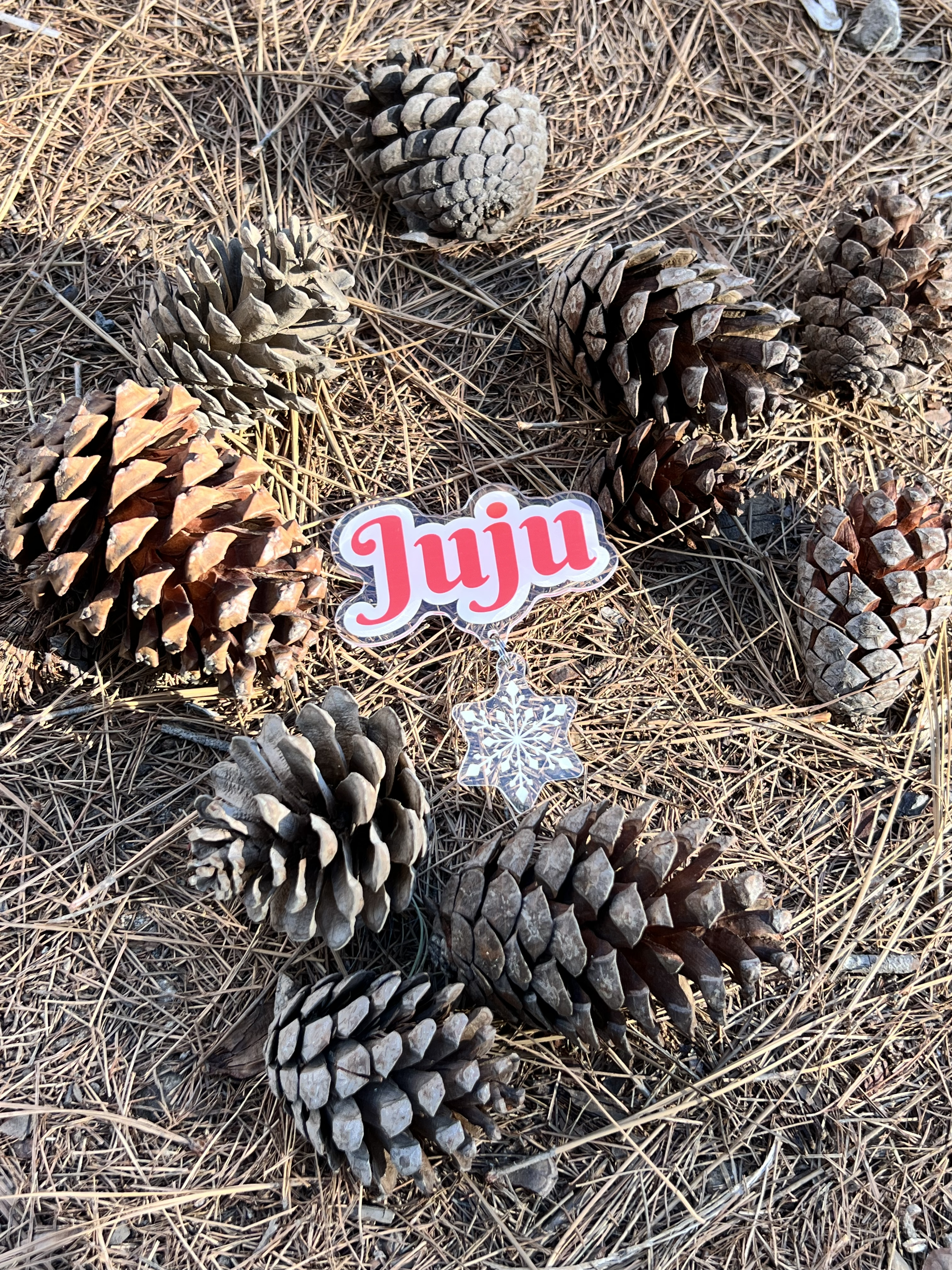 Christmas Name Tag 聖誕雪花名牌