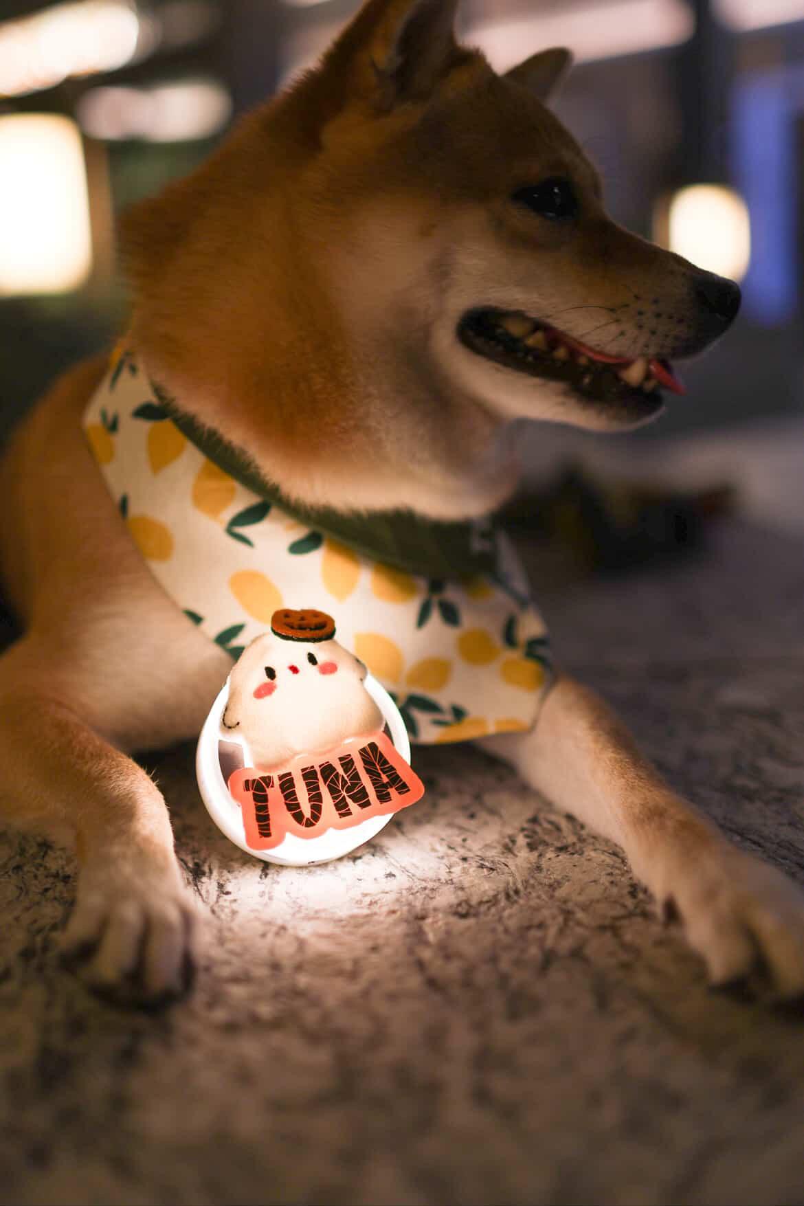 AURA Phantom 萬聖節魅影