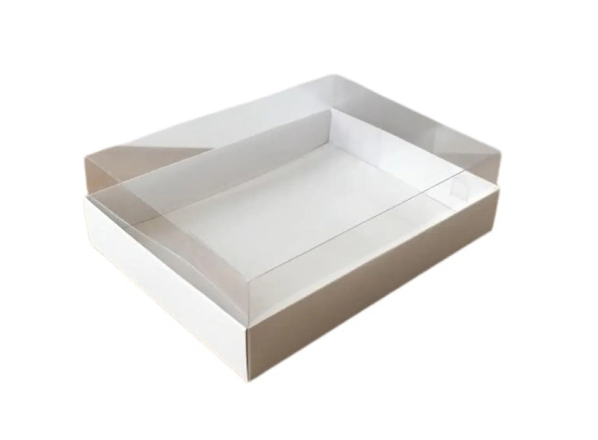Boîte à couvercle transparent 20x15x5cm