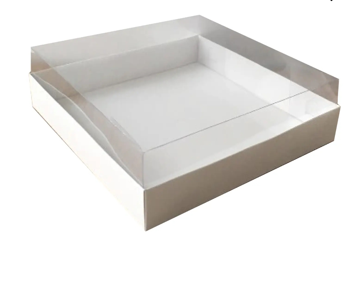 Boîte à couvercle transparent 20X20X5 cm