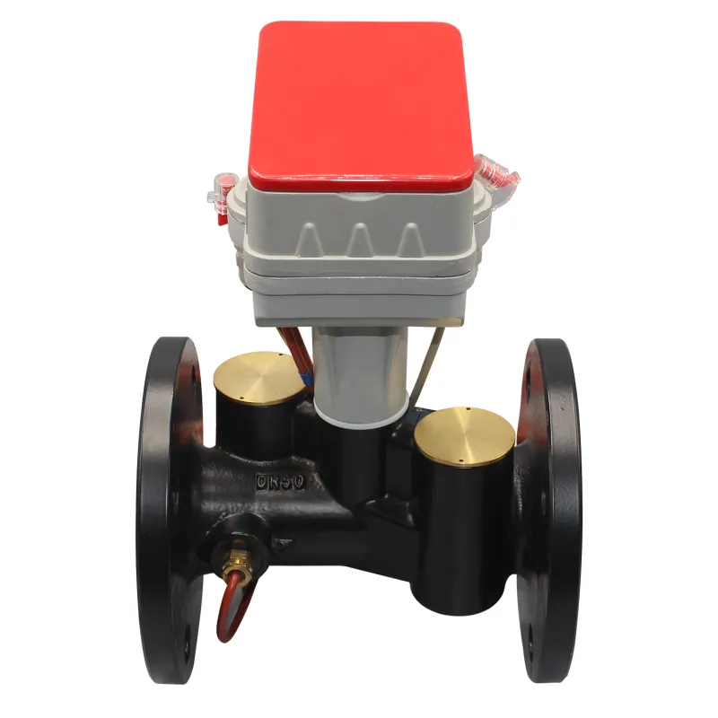 IZEL Bulk Water Meters ( DN50 - DN300 )