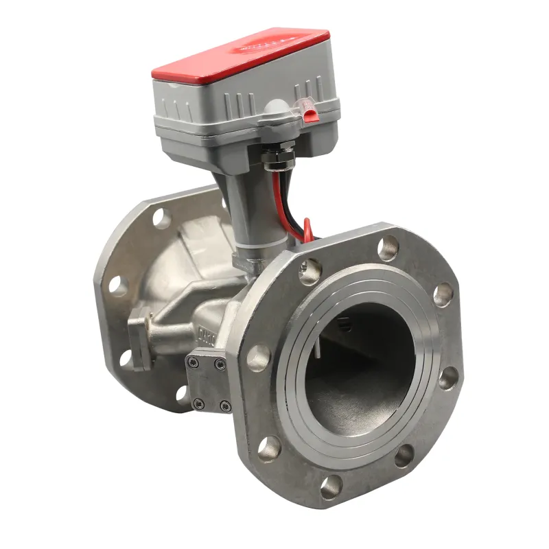 IZEL Bulk Water Meters ( DN50 - DN300 )