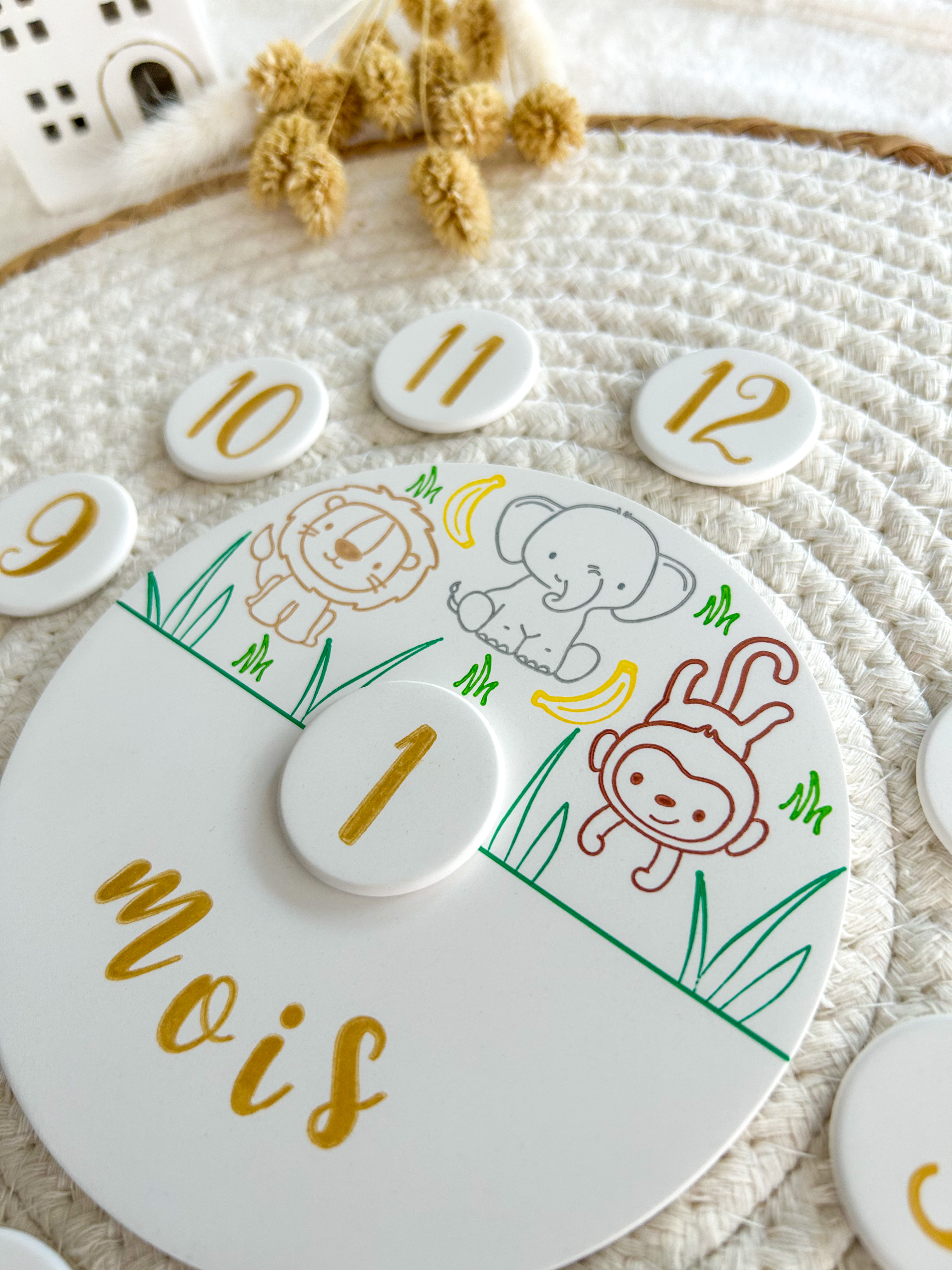 Carte étape - SAFARI