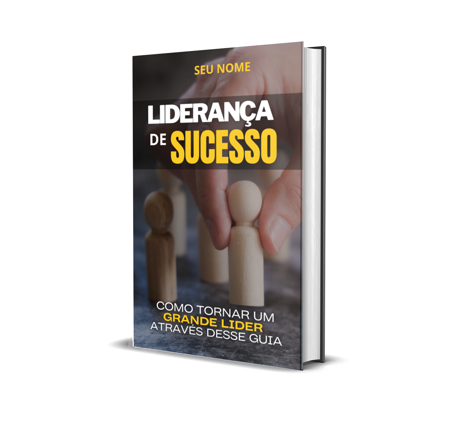 LIDERANÇA DE SUCESSO