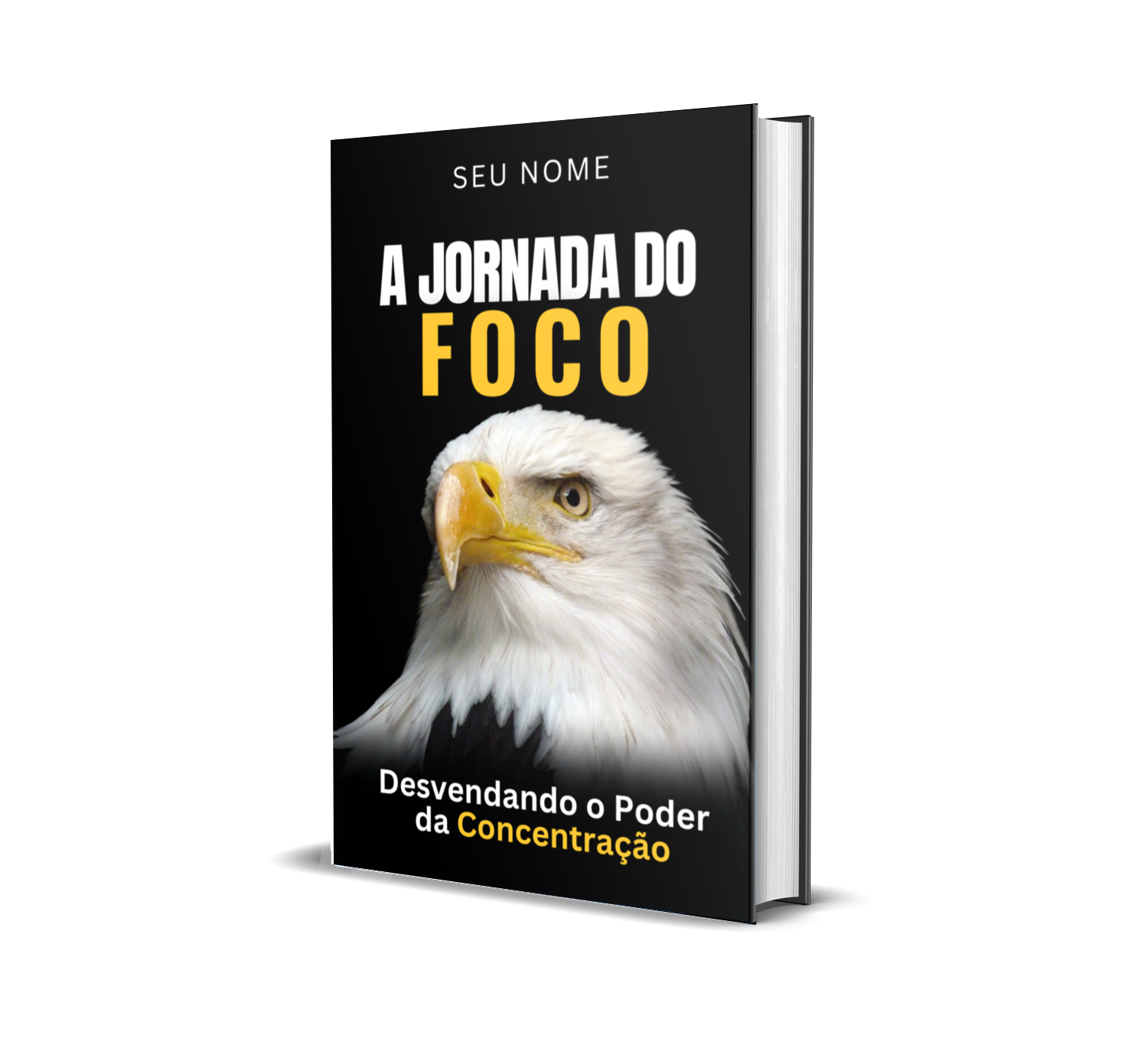 A JORNADA DO FOCO