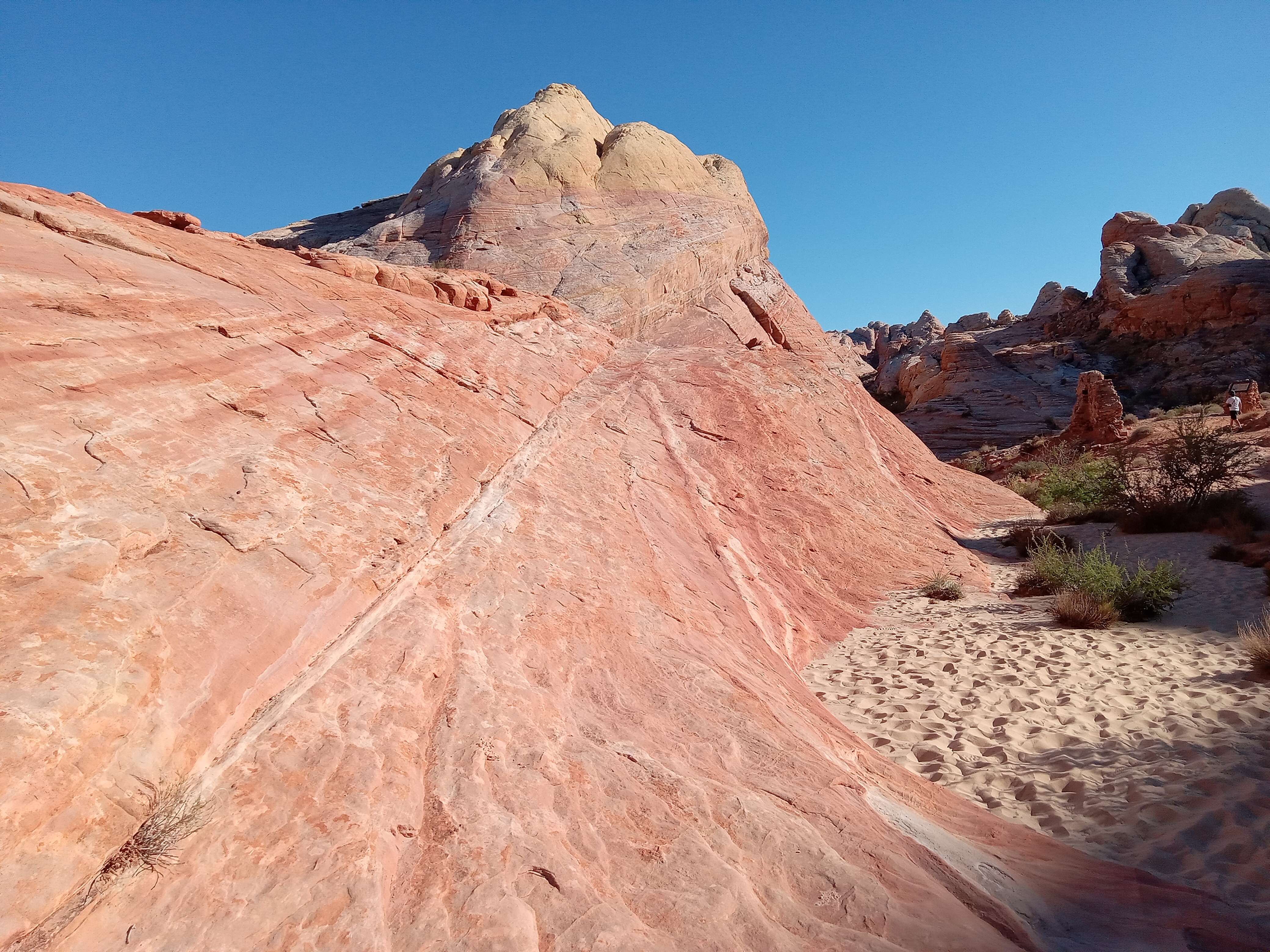 Desert Landscape Photograph