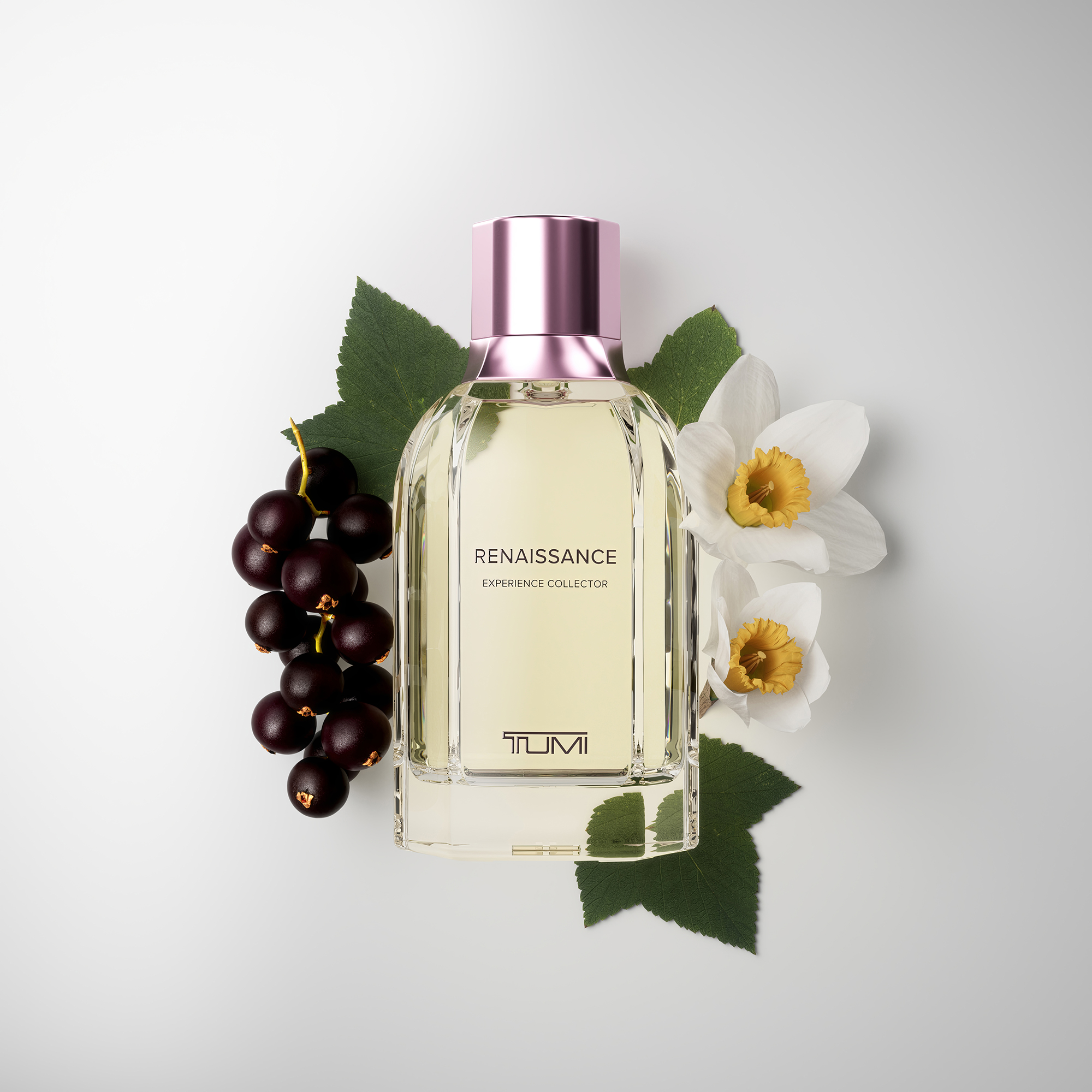 Utopia Experience Collector Extrait de Parfum