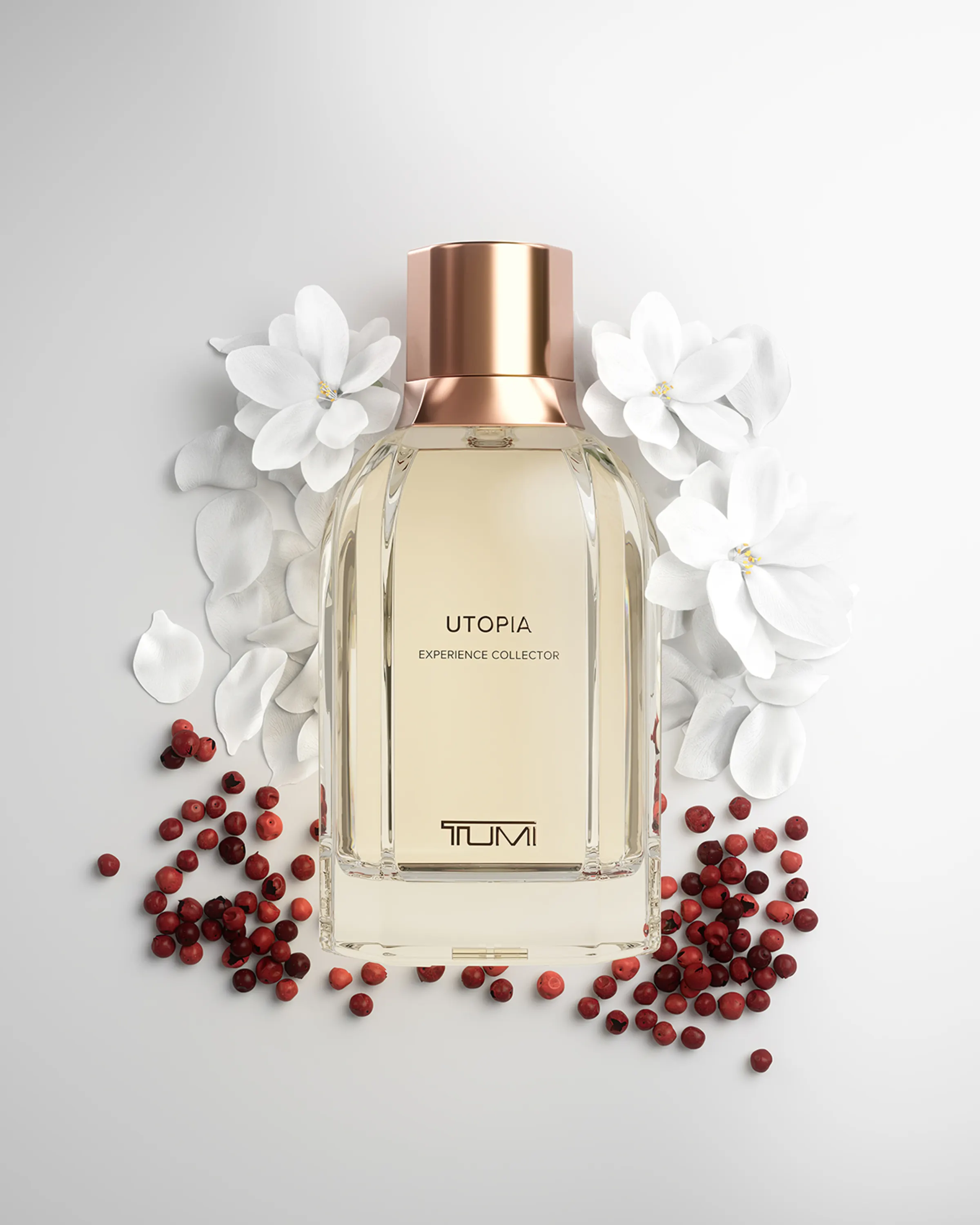 Utopia Experience Collector Bundle