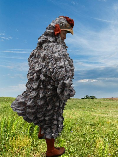 Location mascotte poule grise