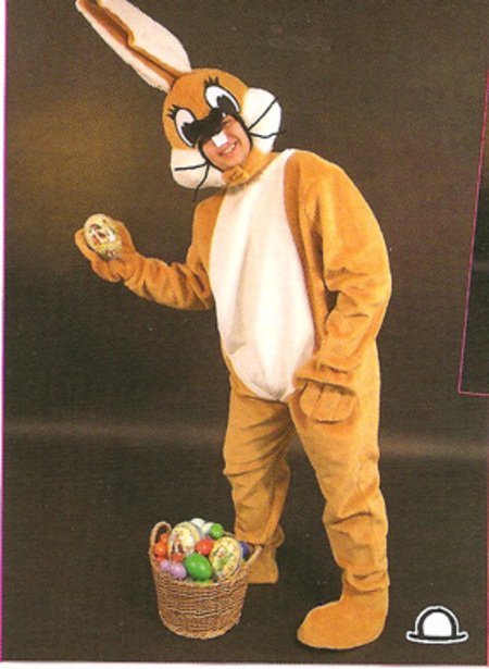 Location mascotte Lapin brun