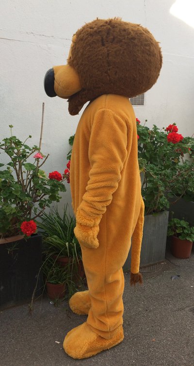 Location mascotte de Lion