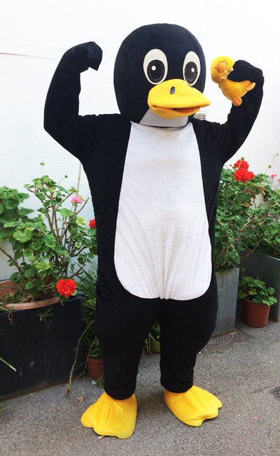 Location mascotte Pingouin