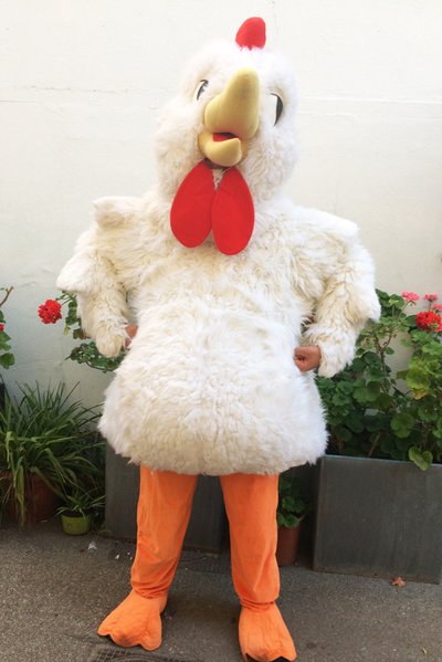 Location mascotte de Coq blanc