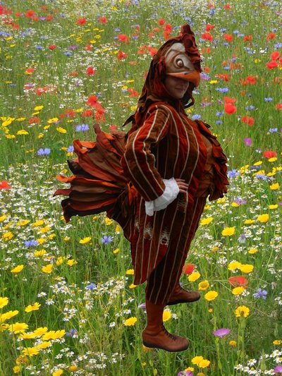 Location mascotte Coq marron