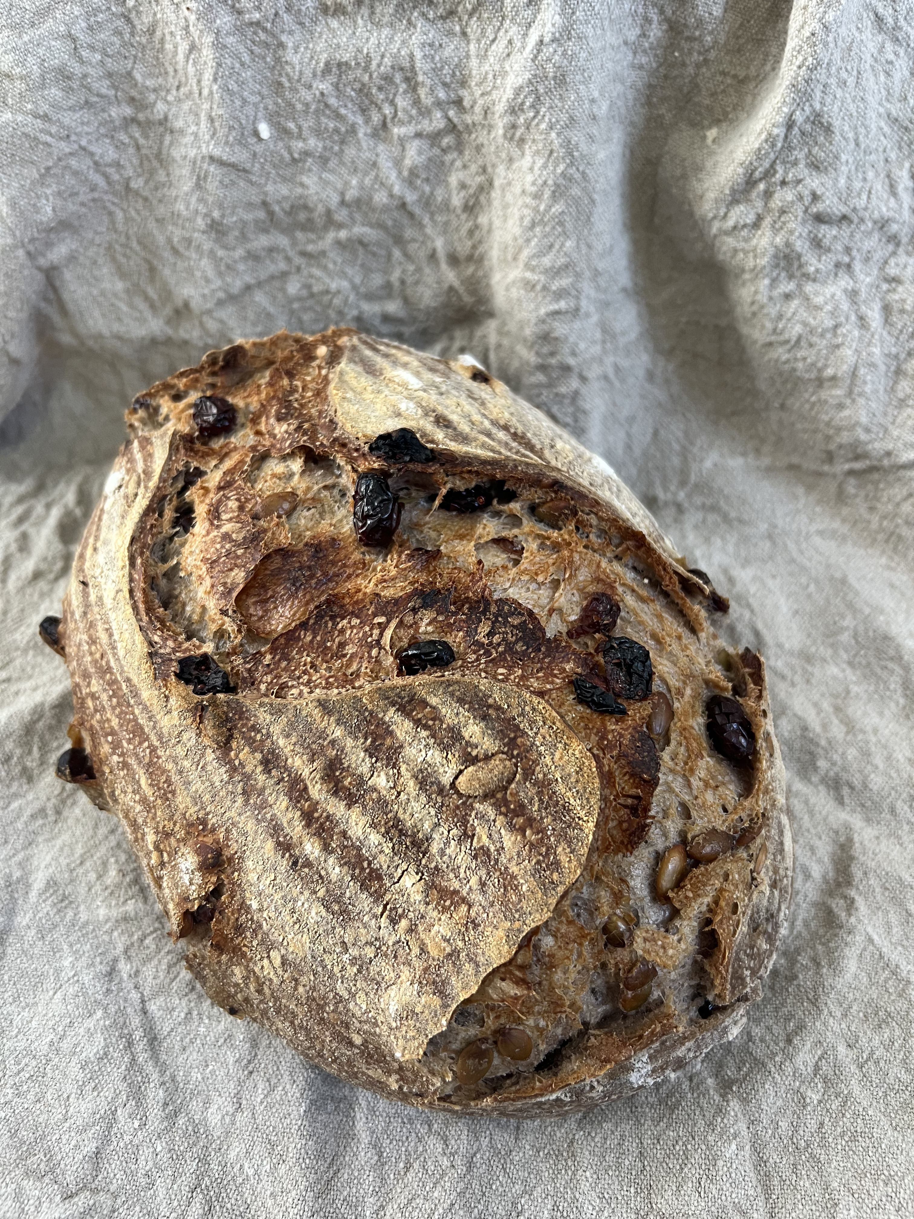 EL DE PIPAS CALABAZA Y ARÁNDANOS