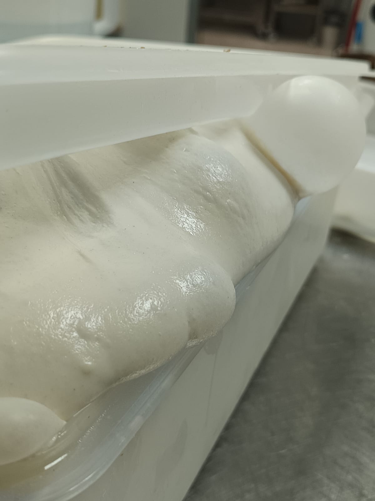 BASE PIZZA NAPOLITANA 