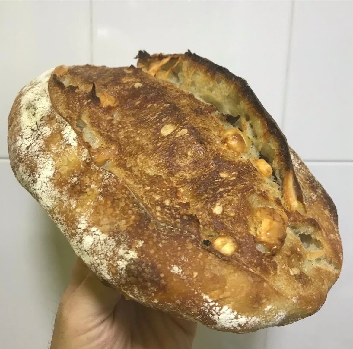 EL DE QUESO MONTES DE MÁLAGA