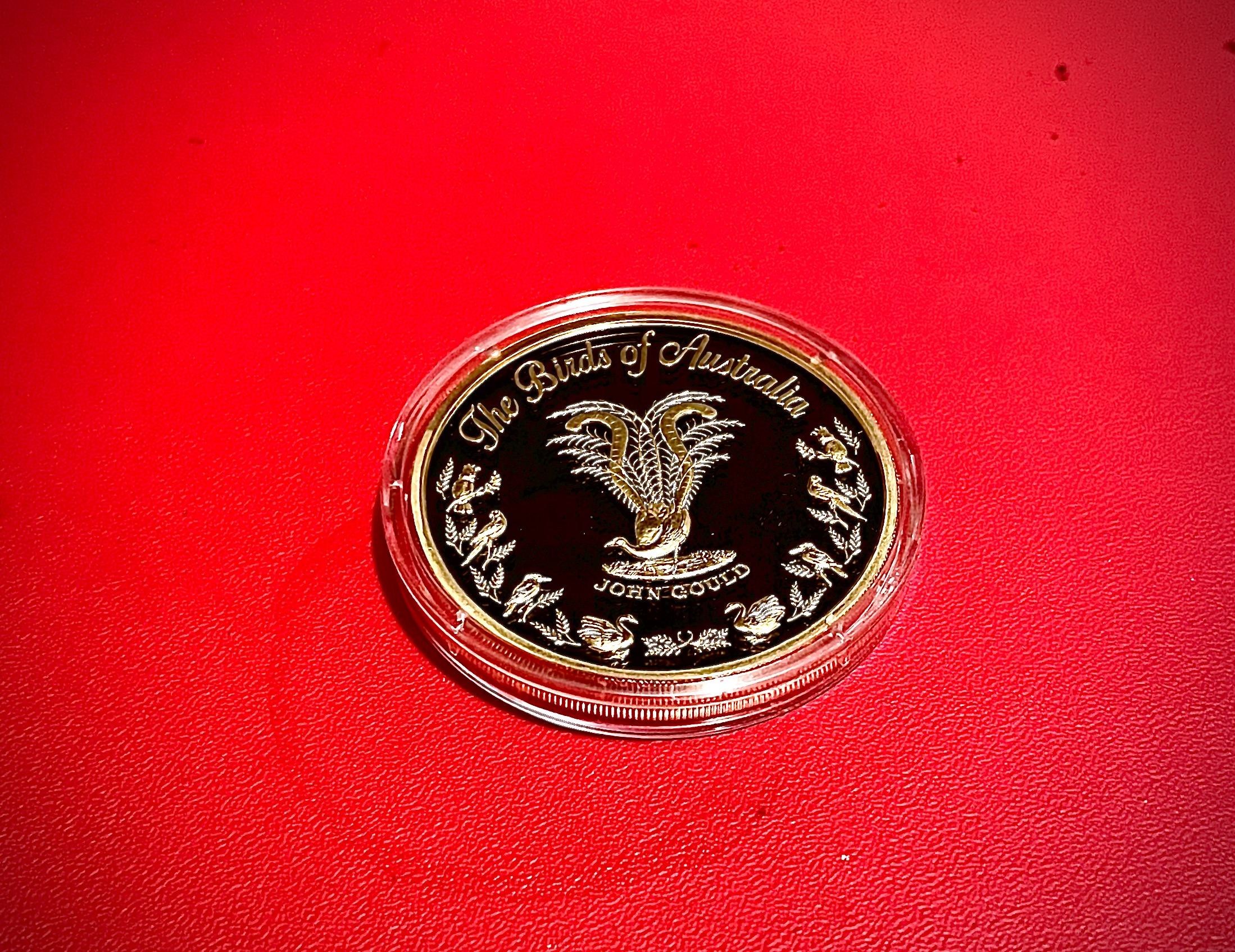 Blue Winged Kookaburra