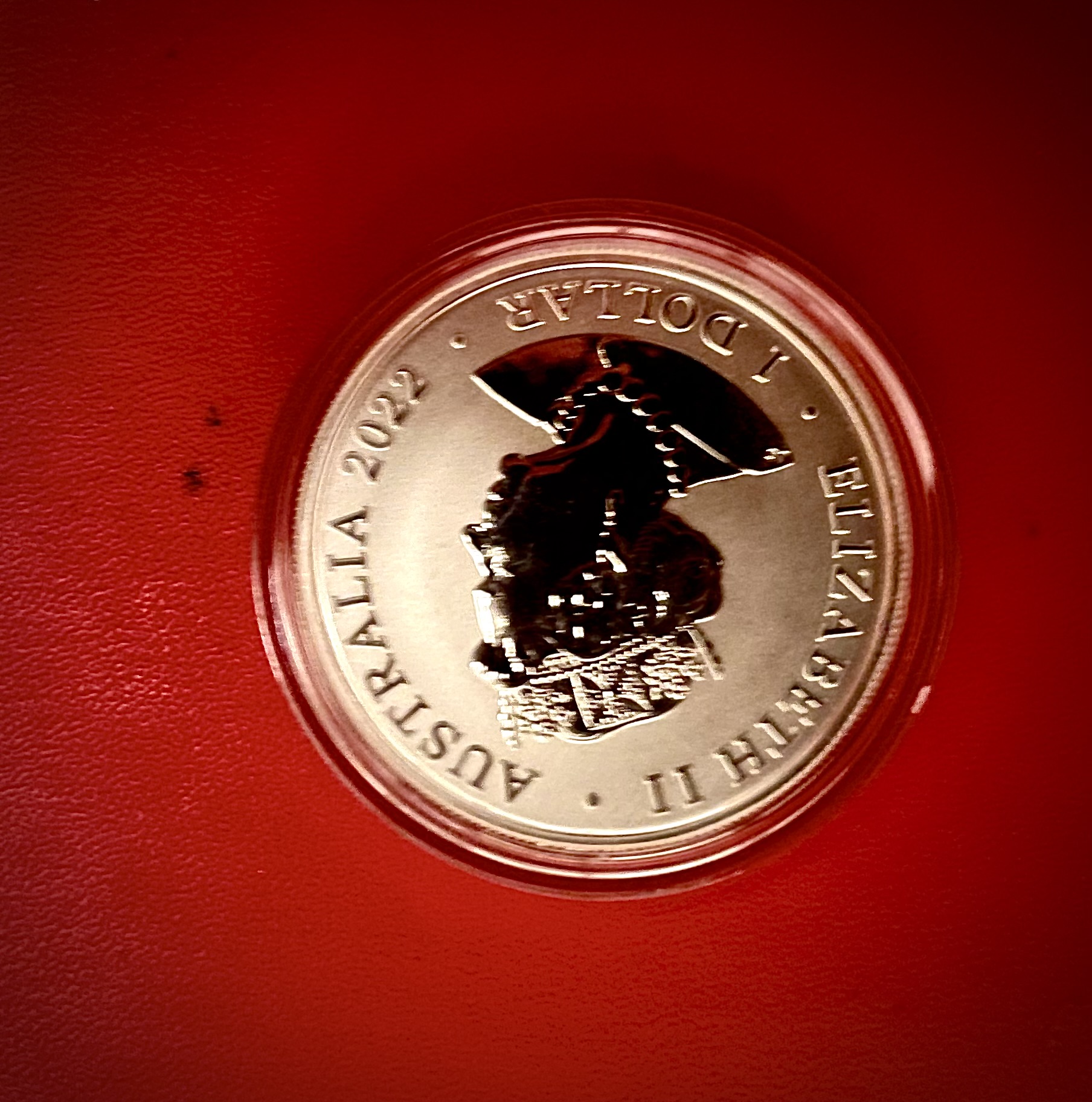 Desert Scorpion Coin