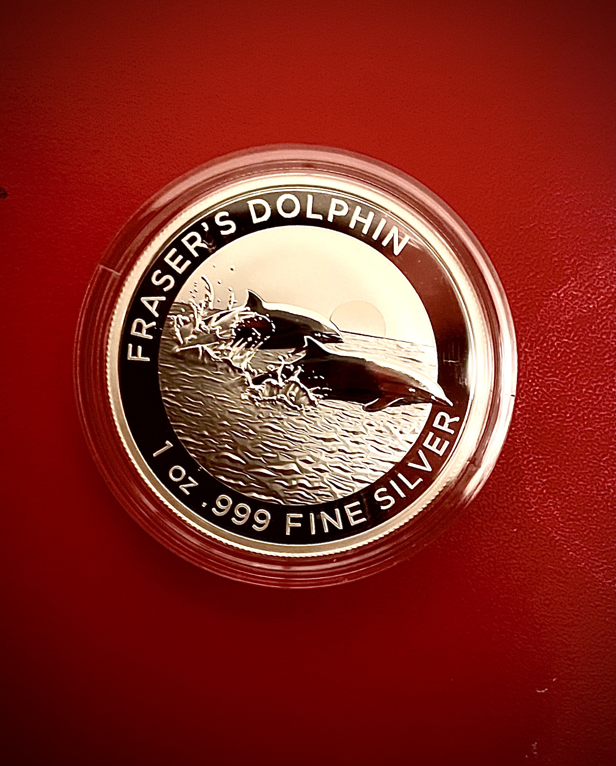 Fraser's Dolphin Silver Coin