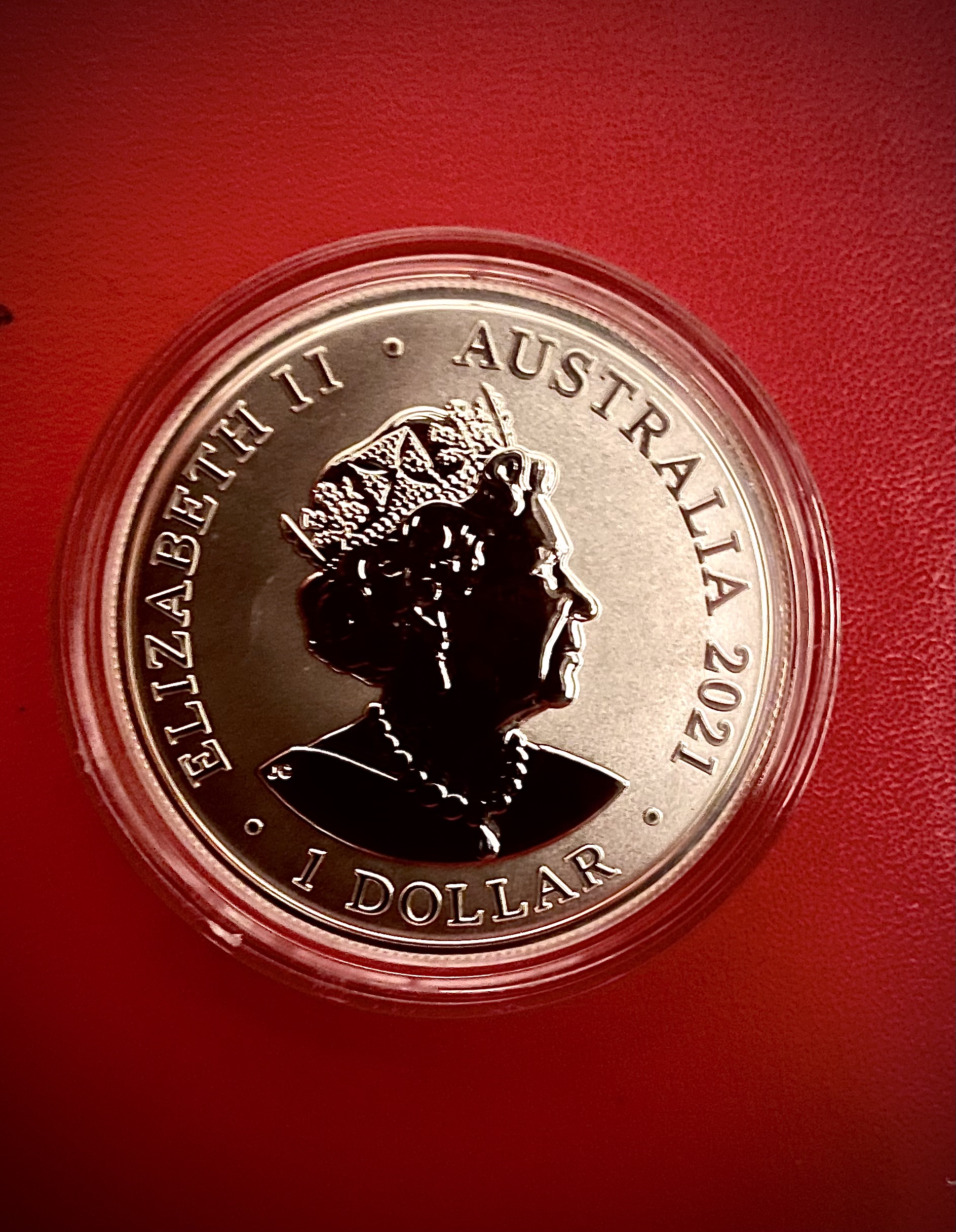 Fraser's Dolphin Silver Coin