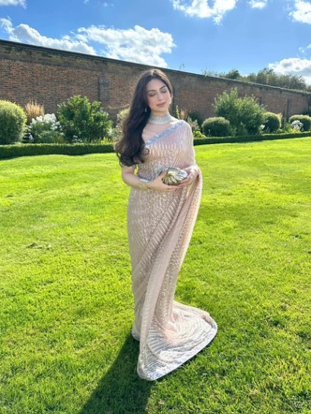 Embellished Sequinned Pure Georgette Saree