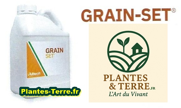 GRAIN-SET