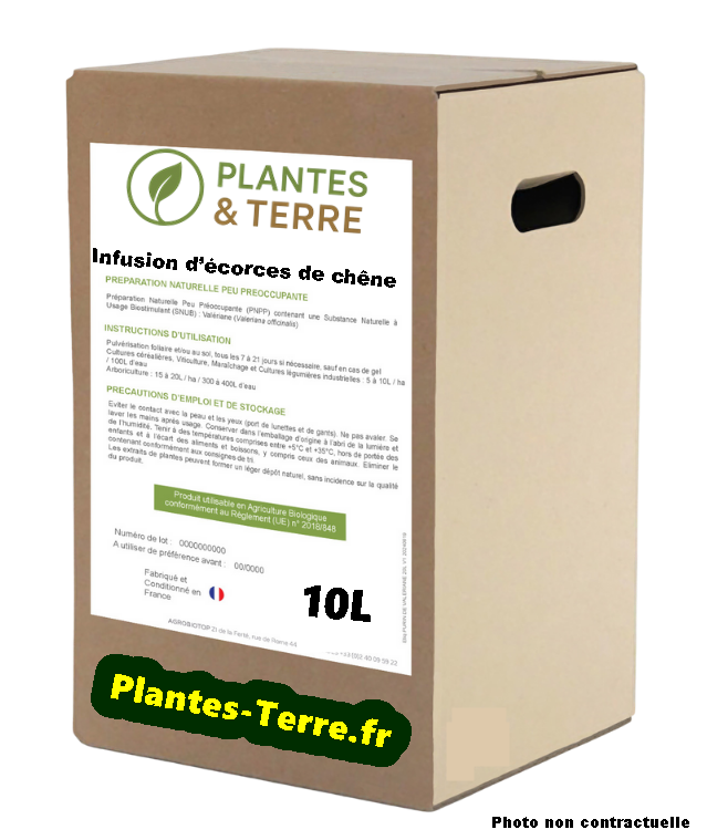 INFUSION D'ECORCE DE CHÊNE