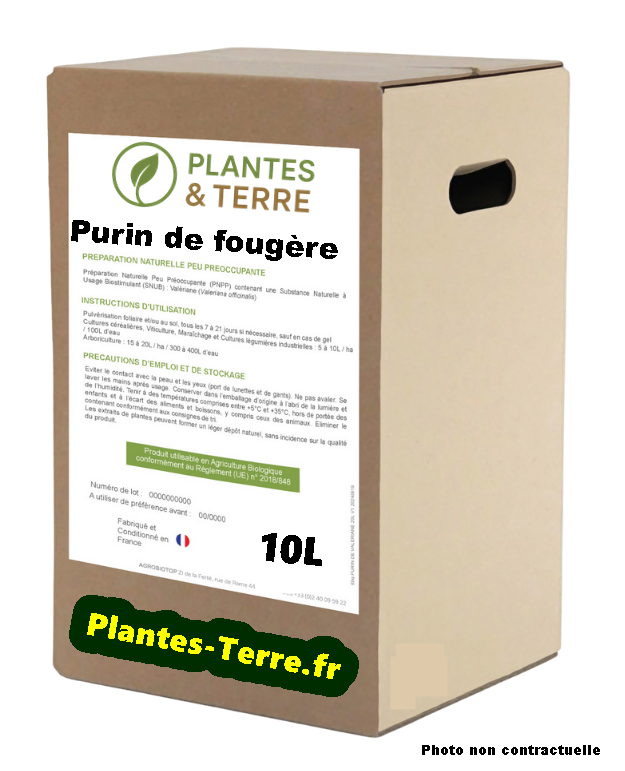 PURIN DE FOUGERE