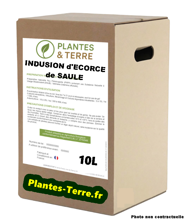 INFUSION D'ECORCE DE SAULE