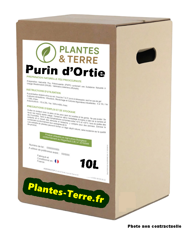 PURIN D'ORTIE