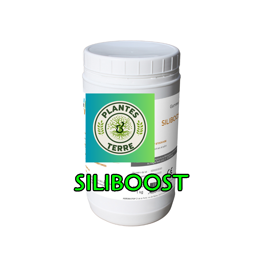 SILIBOOST