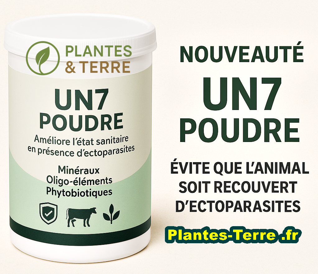 UN7 POUDRE
