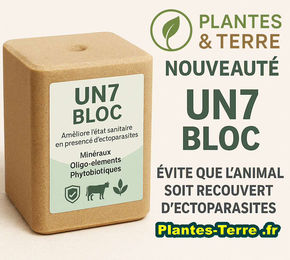 UN 7 BLOC