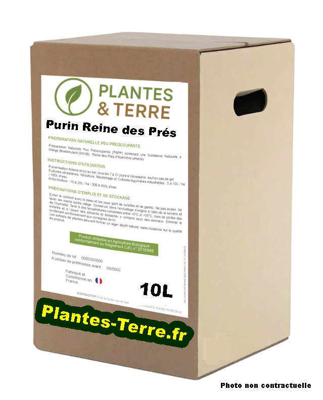 PURIN DE REINE DES PRES