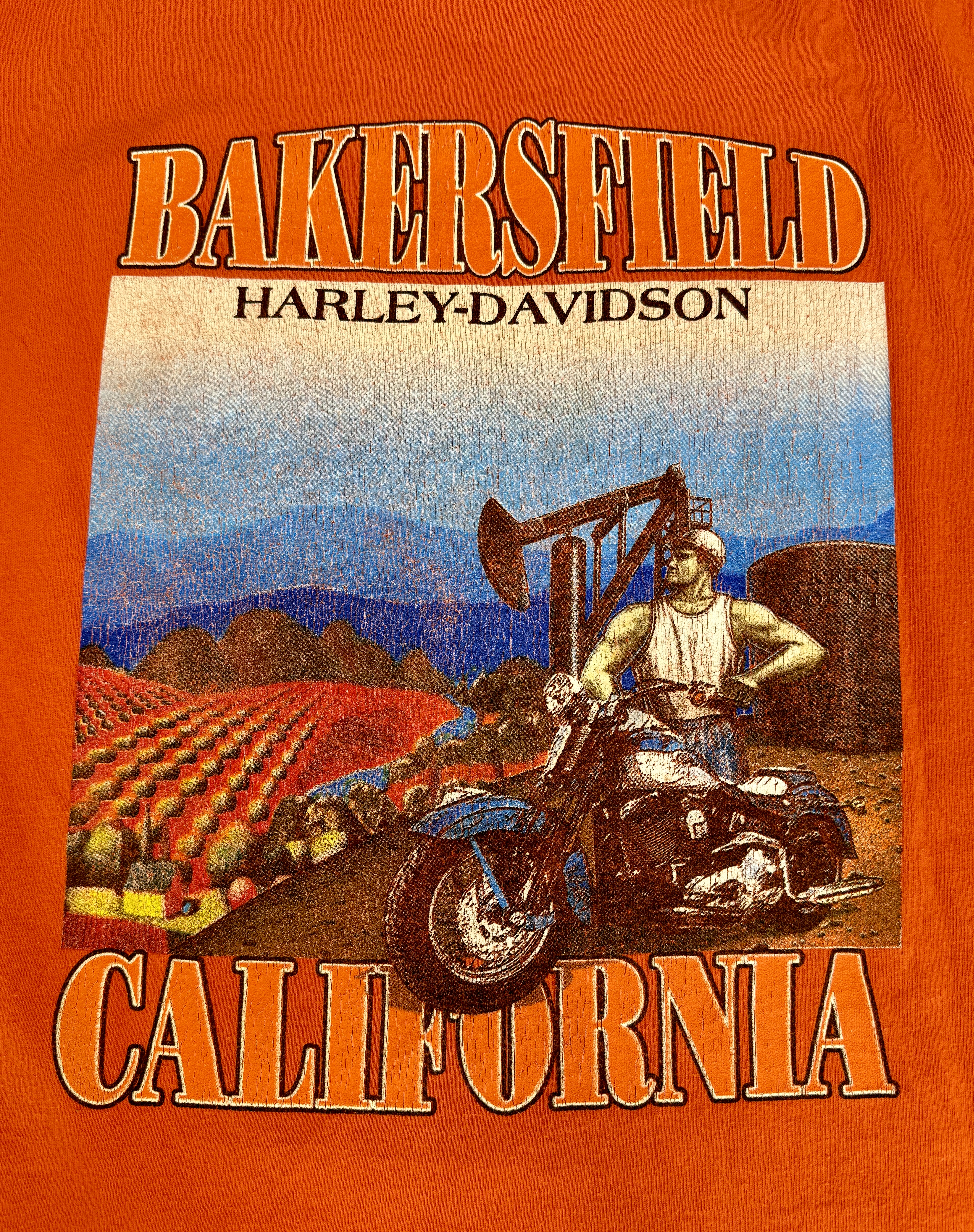 Harley-Davidson T-shirt taglia L