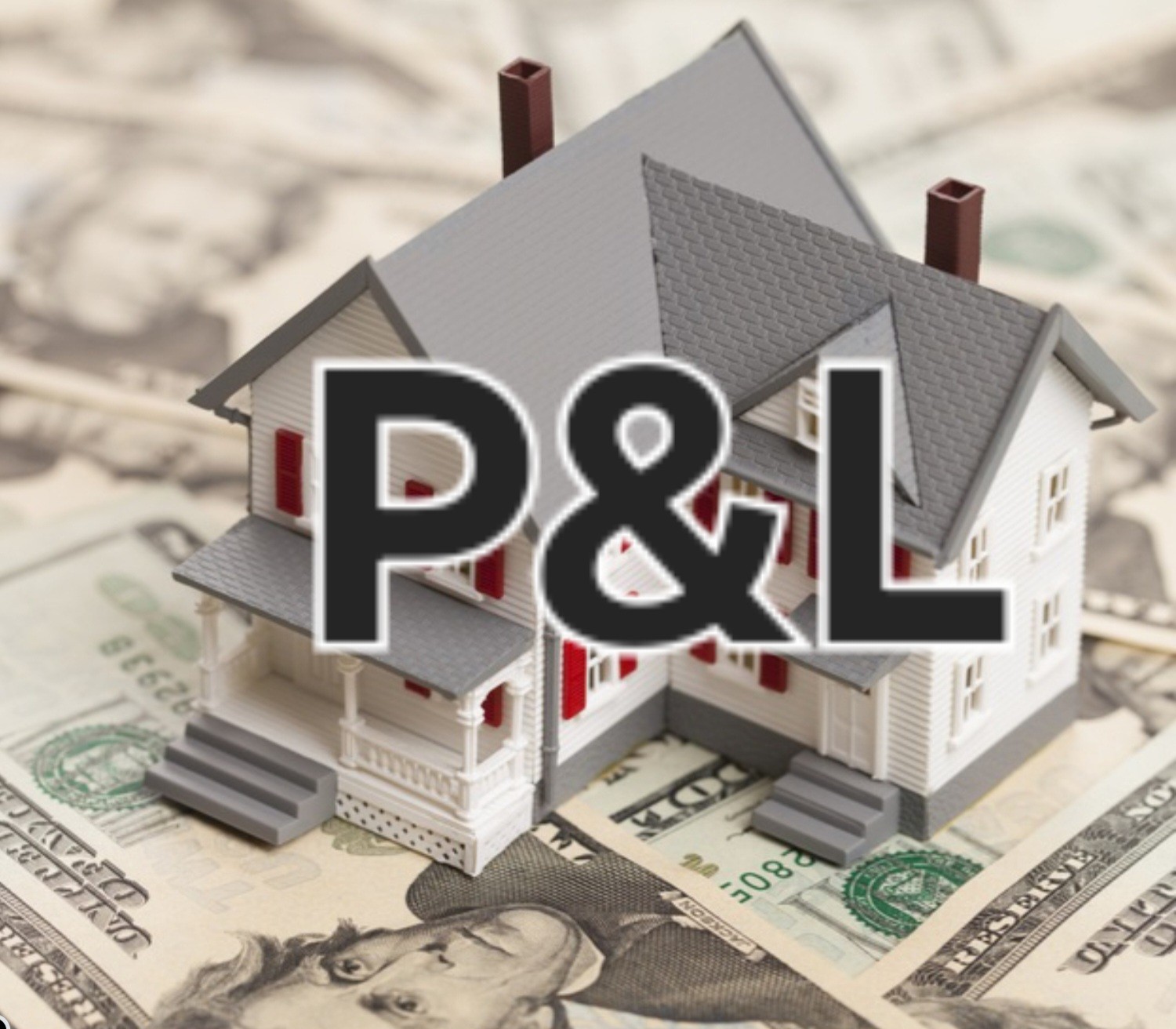 Profit & Loss Statement(s)