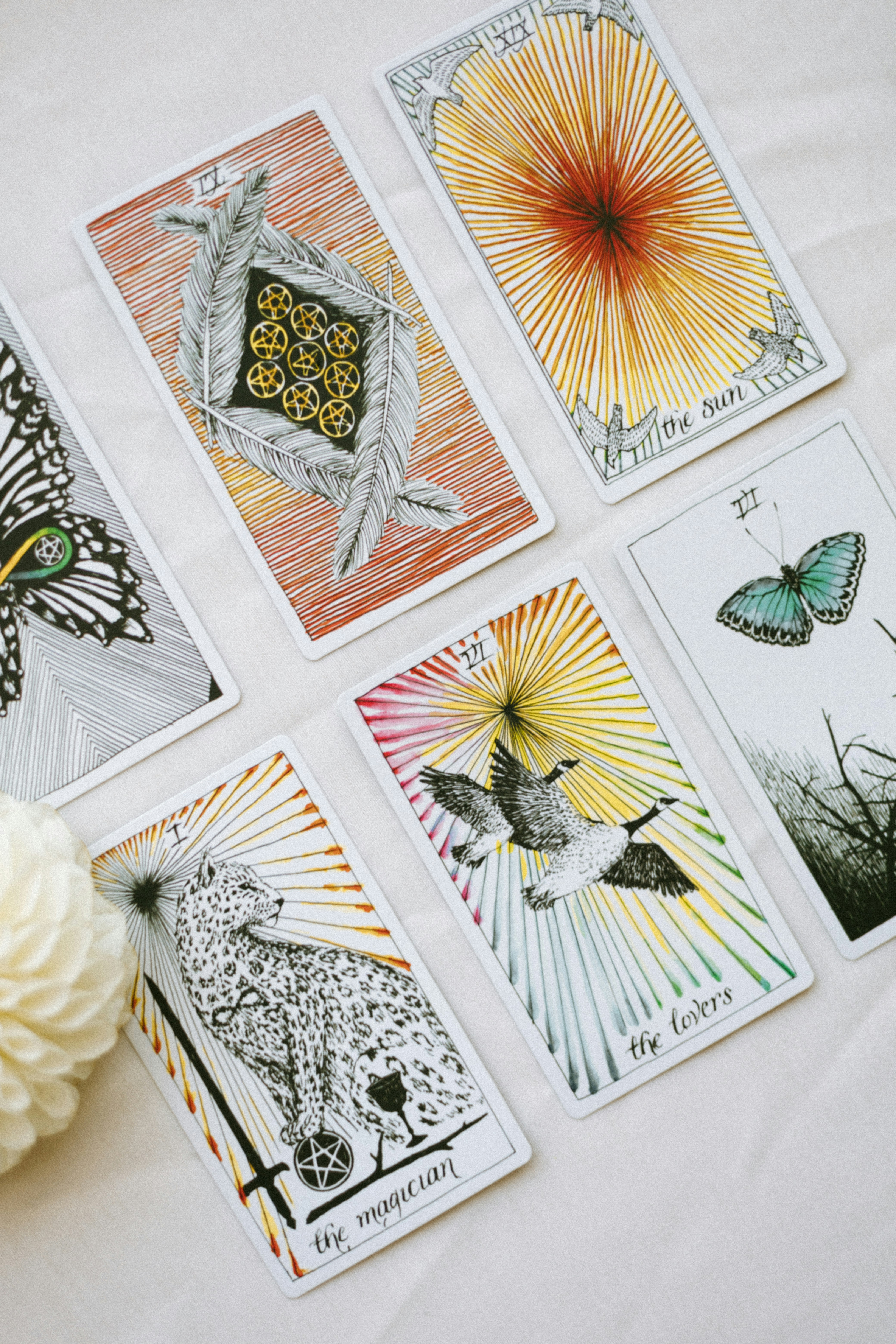 A Message From The Cards